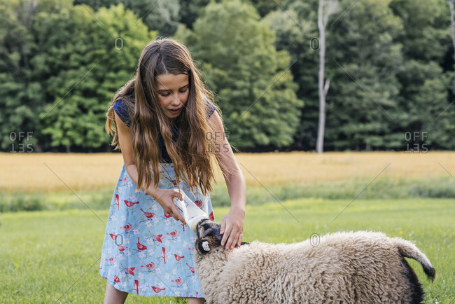 Little girl feeding milk to sheep on field