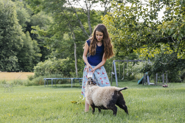 Little girl with long hair feeding milk to sheep on field