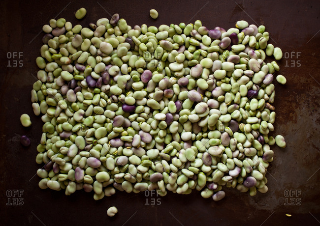 Overhead view of a pile of fava beans