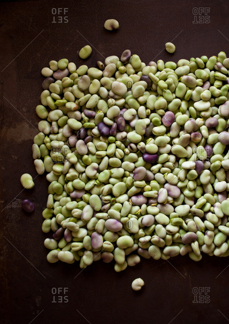 Left half of a pile of fava beans
