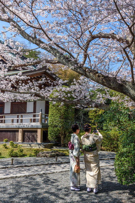 Two women in traditional Japanese robes taking photo of garden