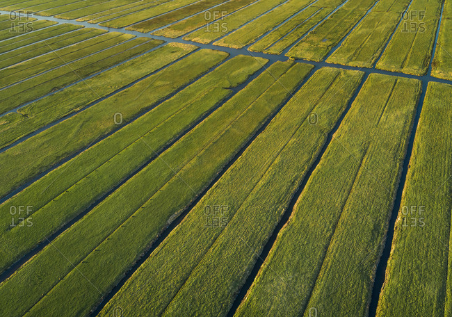 Aerial view of farming fields with canal in the  countryside of Vinkeveen, the Netherlands.