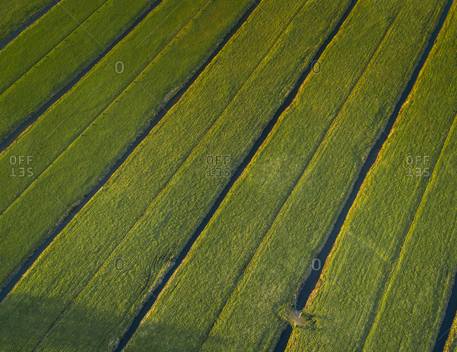 Aerial view of farming fields with canal in the  countryside of Vinkeveen, the Netherlands.