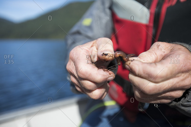 Fisherman using earthworm as bait, Hicks Lake, Harrison Hot Springs, British Columbia, Canada