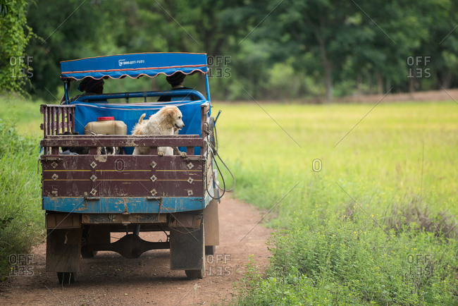 April 22, 2018: Truck on the way to rice plantation, Chiang Rai, Thailand