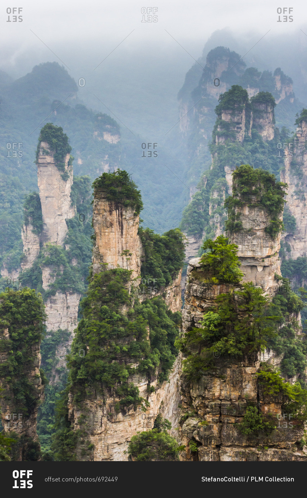 Hallelujah mountains or Avatar mountains in the Zhangjiajie National ...