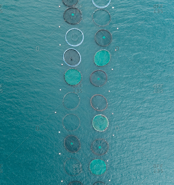 Aerial view of many circular fish farm pools in the beautiful