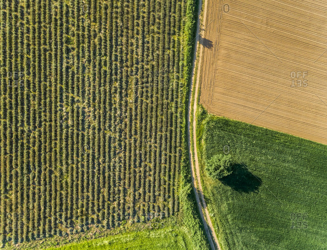 Ariel view of agricultural fields at beautiful Karditsa region in Greece