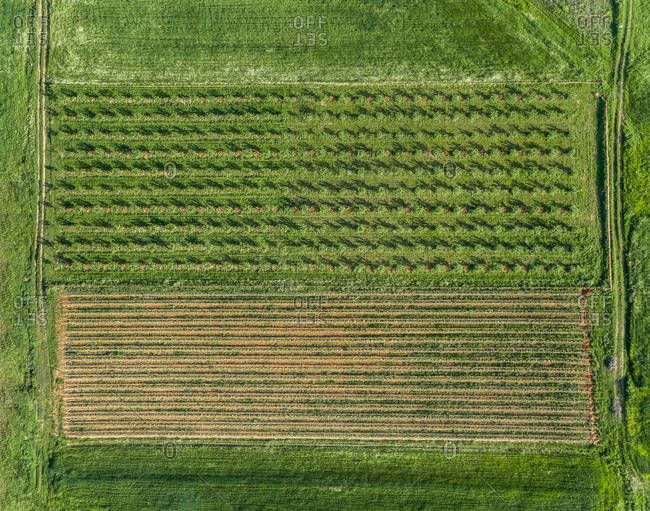 Aerial view of agricultural fields at beautiful Karditsa region in Greece