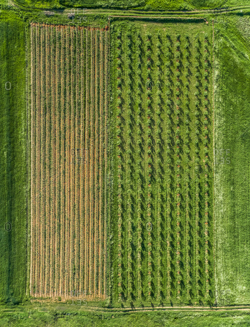 Aerial view of agricultural fields at beautiful Karditsa region in Greece