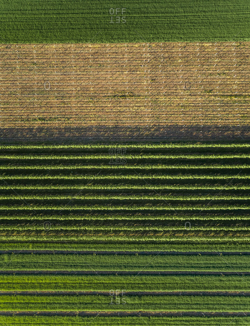Aerial view of agricultural fields at beautiful Karditsa region in Greece