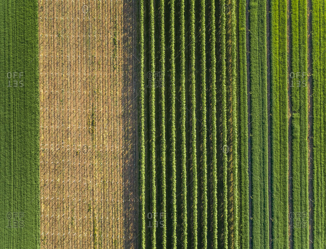Aerial view of agricultural fields at beautiful Karditsa region in Greece