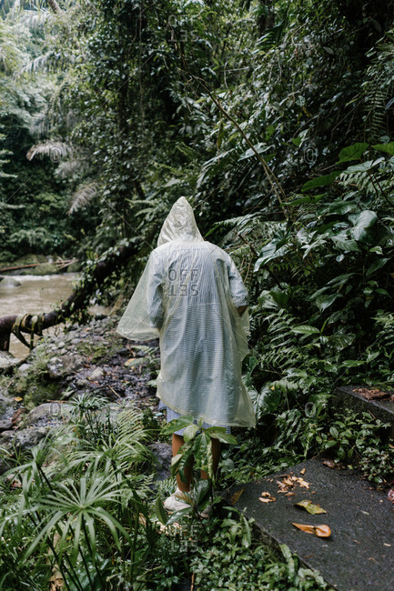 Back of traveler exploring Indonesian rainforest