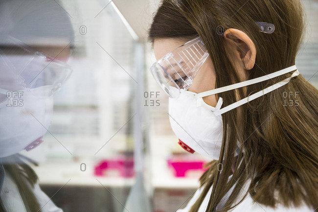 Profile view of young woman in laboratory wearing safety glasses and mask while working with material behind safety screen