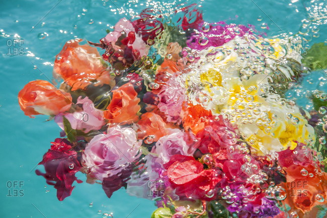 Bunches of flowers, floating and submerged in swimming pool