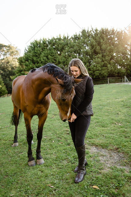 Girl hand feeding horse - Offset