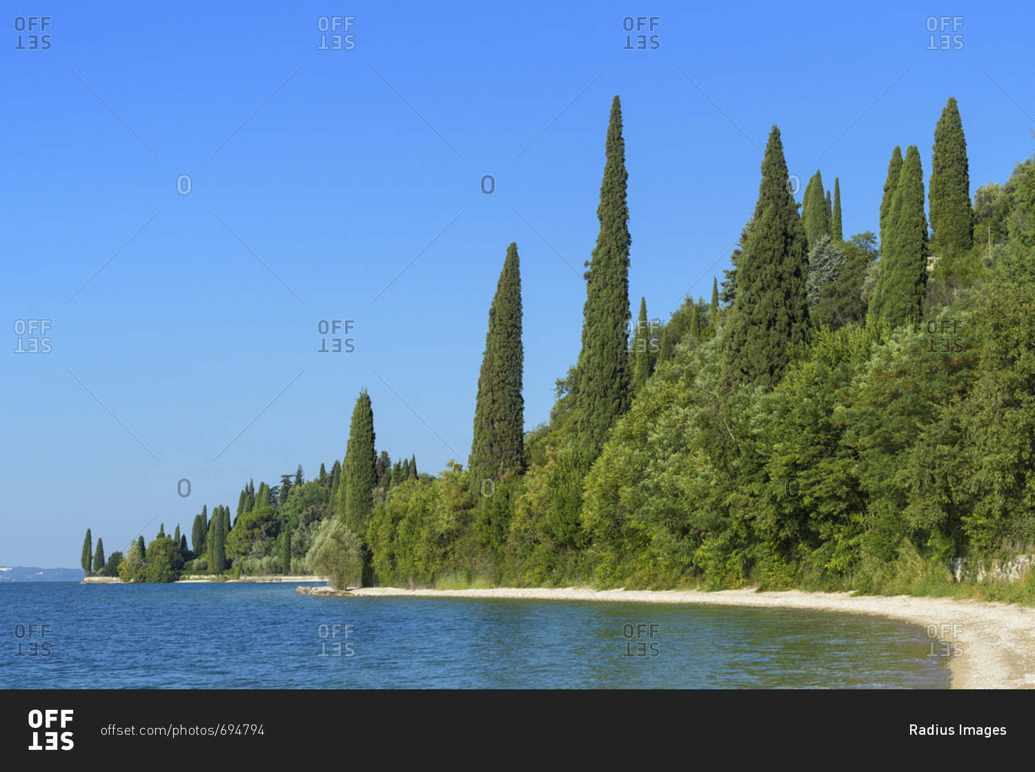 Trees along the lakeshore of Lake Garda (Lago di Garda) in the summer at Garda in Veneto, Italy