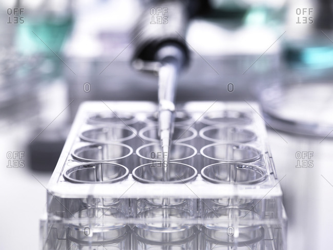 Pipette lying on a multiwell plate