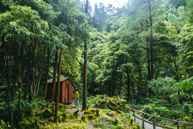 Azores- Sao Miguel- Man in the forest of Caldeira Velha