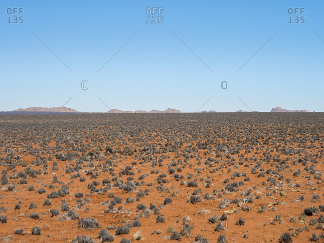 Africa- Namibia- Namib desert- desert landscape
