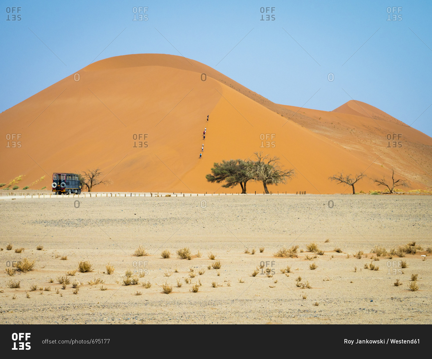 Africa- Namibia- Namib desert- Naukluft National Park- Sossusvlei- Dune 45 and tourists