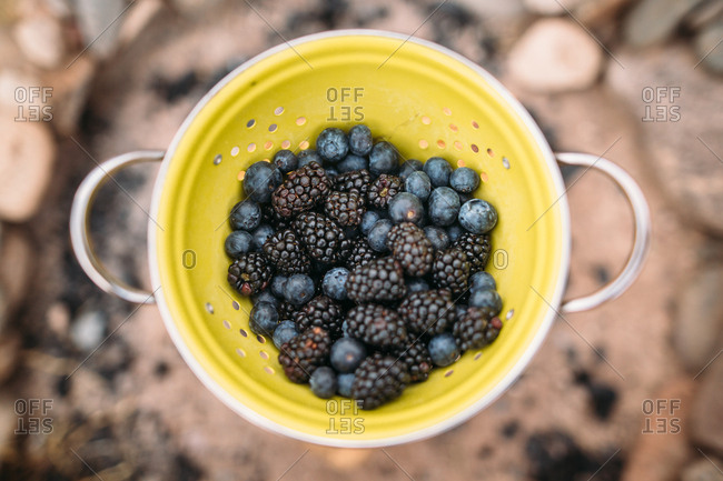 Colander full of fresh blueberries and blackberries