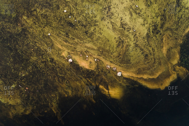 Abstract aerial view of algae bloom spreading in the sea at Muraste village, Estonia
