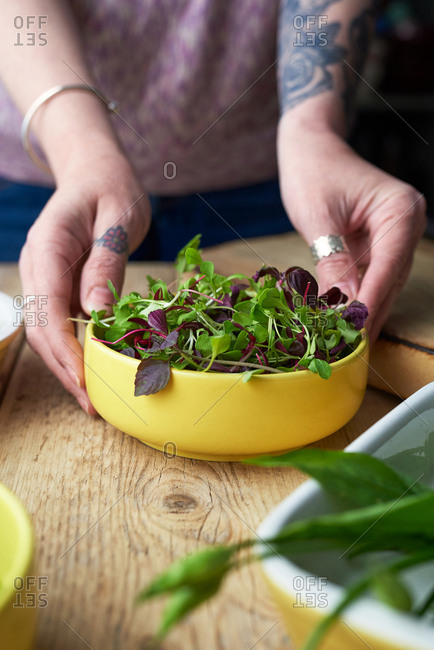 Close up of woman's hands serving bowl of healthy herb salad