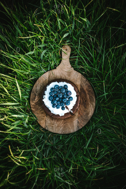 Top down view of chocolate cake topped with blueberries and whipped cream on wooden board on the lawn