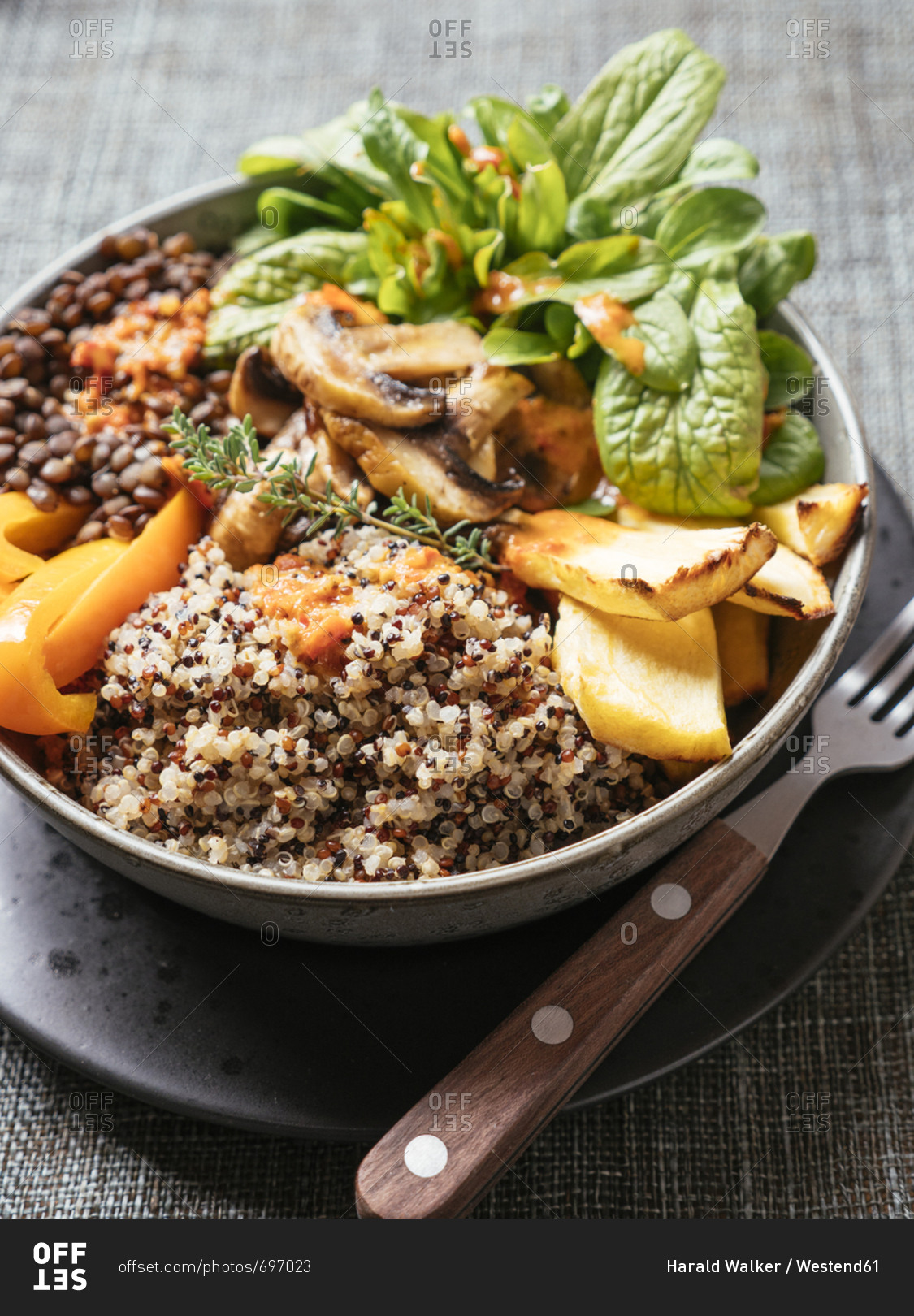 Lentil Quinoa Bowl- lentils- quinoa- bell pepper- roasted parsnips- field salad- mushrooms- spicy vegan sauce