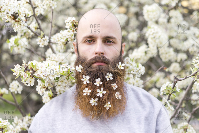 Portrait of hipster with white tree blossoms in his beard