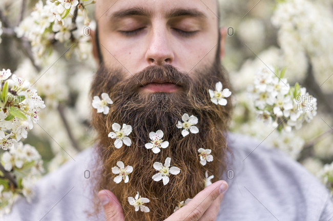 Portrait of hipster with white tree blossoms in his beard