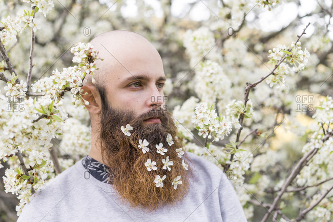 Portrait of hipster with white tree blossoms in his beard