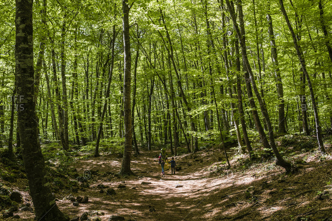 Family of hikers on a mountain trail on a sunny spring day