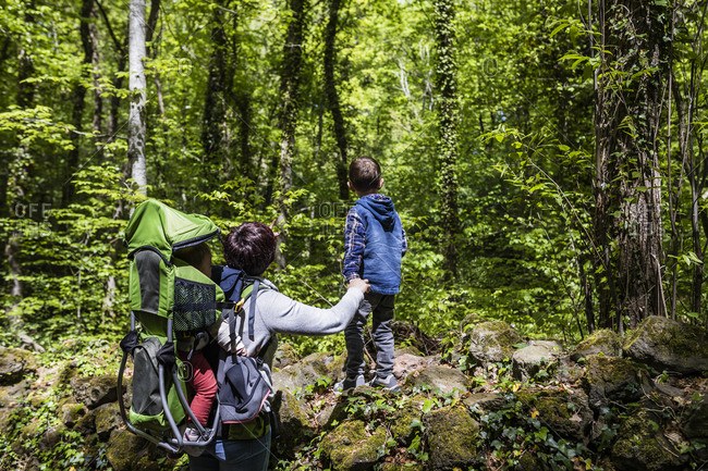 Family of hikers on a mountain trail on a sunny spring day
