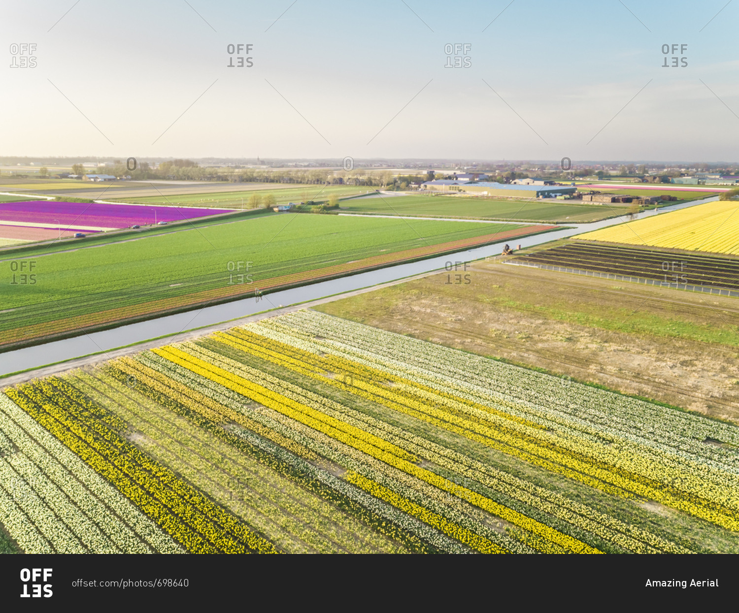 Aerial view of beautiful colorful tulip fields in Lisse, Netherlands