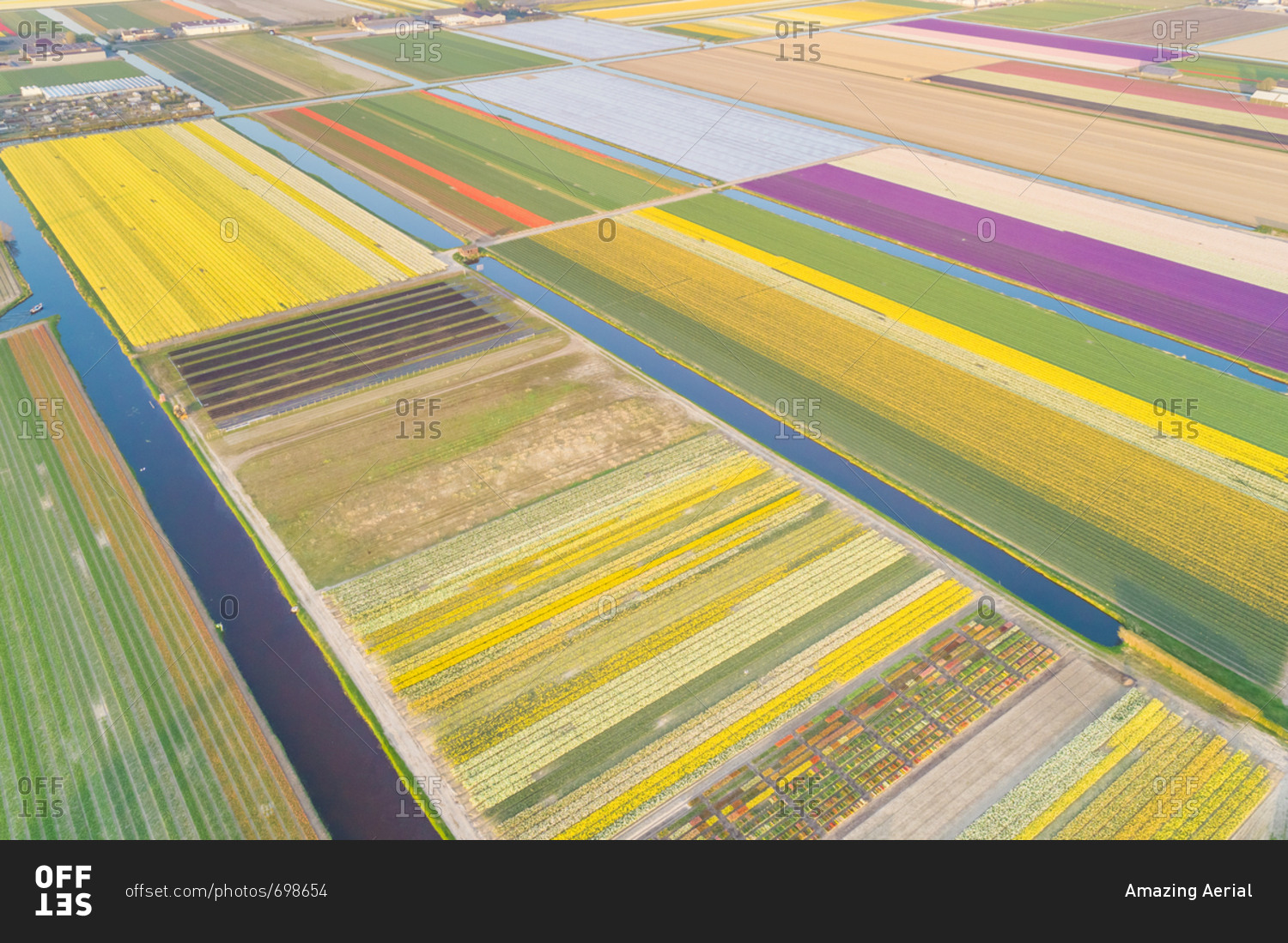 Amazing aerial view of colorful blossoming fields of tulips in Lisse, Netherlands