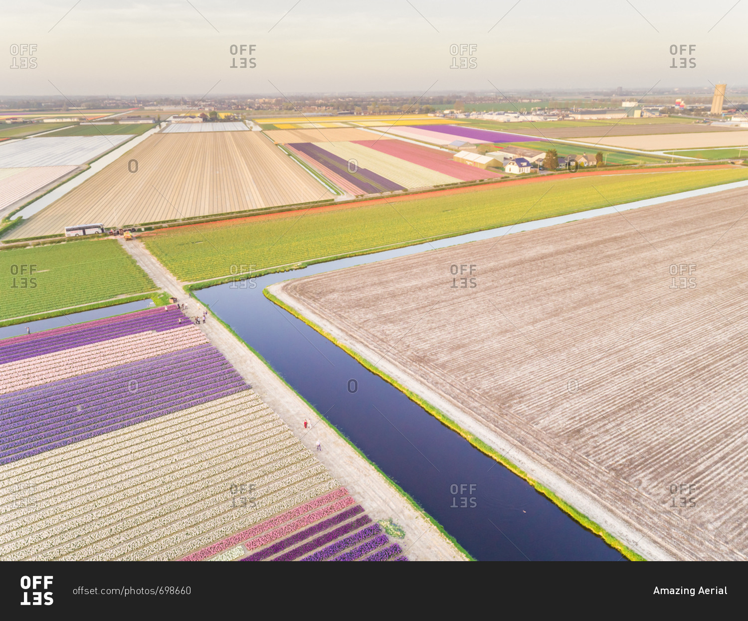 Amazing aerial view of beautiful colorful tulip fields in Lisse, Netherlands