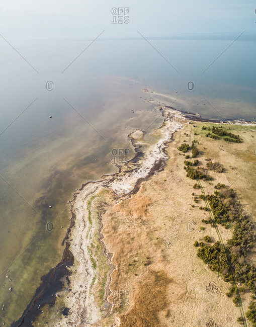Aerial view of coastline surrounded  by sea full of algae in Estonia