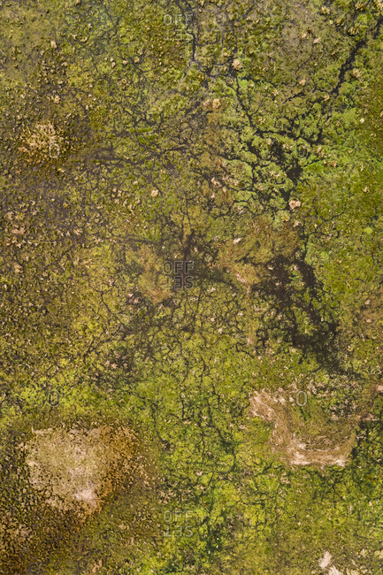 Abstract aerial view of swamp area in Estonia