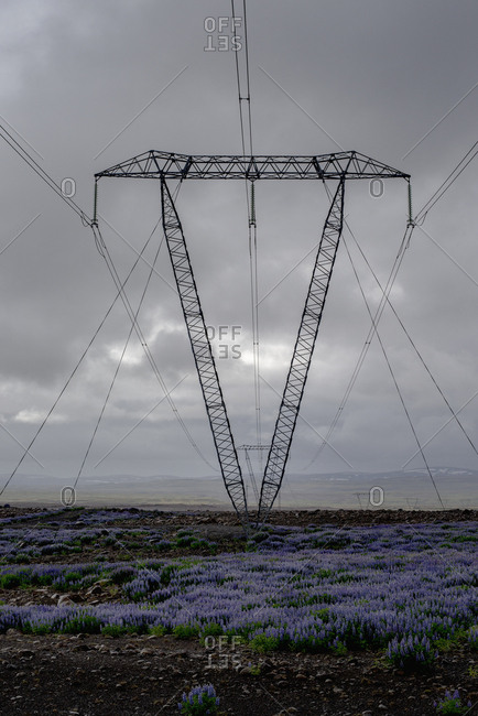 Electricity pylon amidst plants on field against cloudy sky, Highlands, Iceland