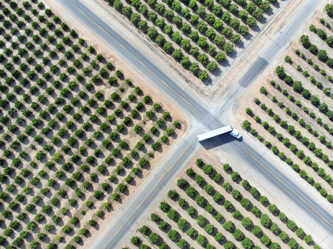 Bird's eye view of tractor trailer making right angle turn among orange tree plantations in Visalia, California