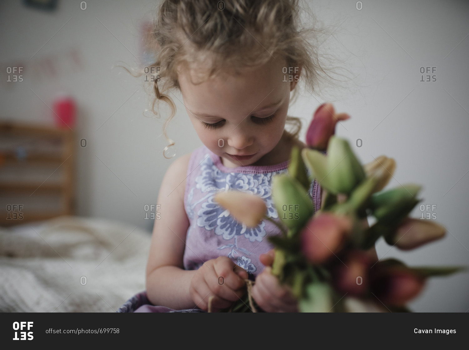 Close-up of girl holding tulips while sitting on bed at home