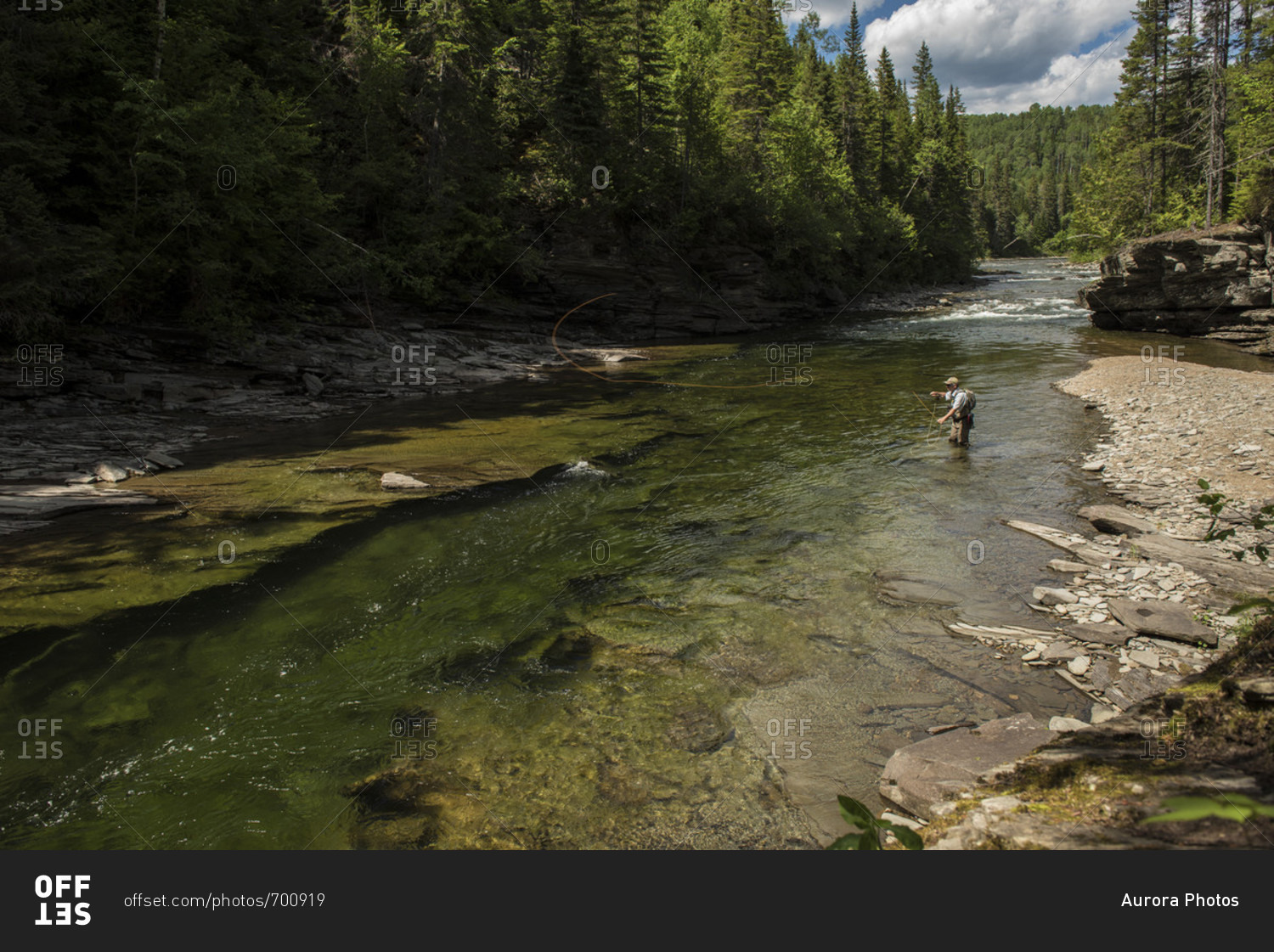 Fly fisherman fishing in York River, Gaspe, Quebec, Canada