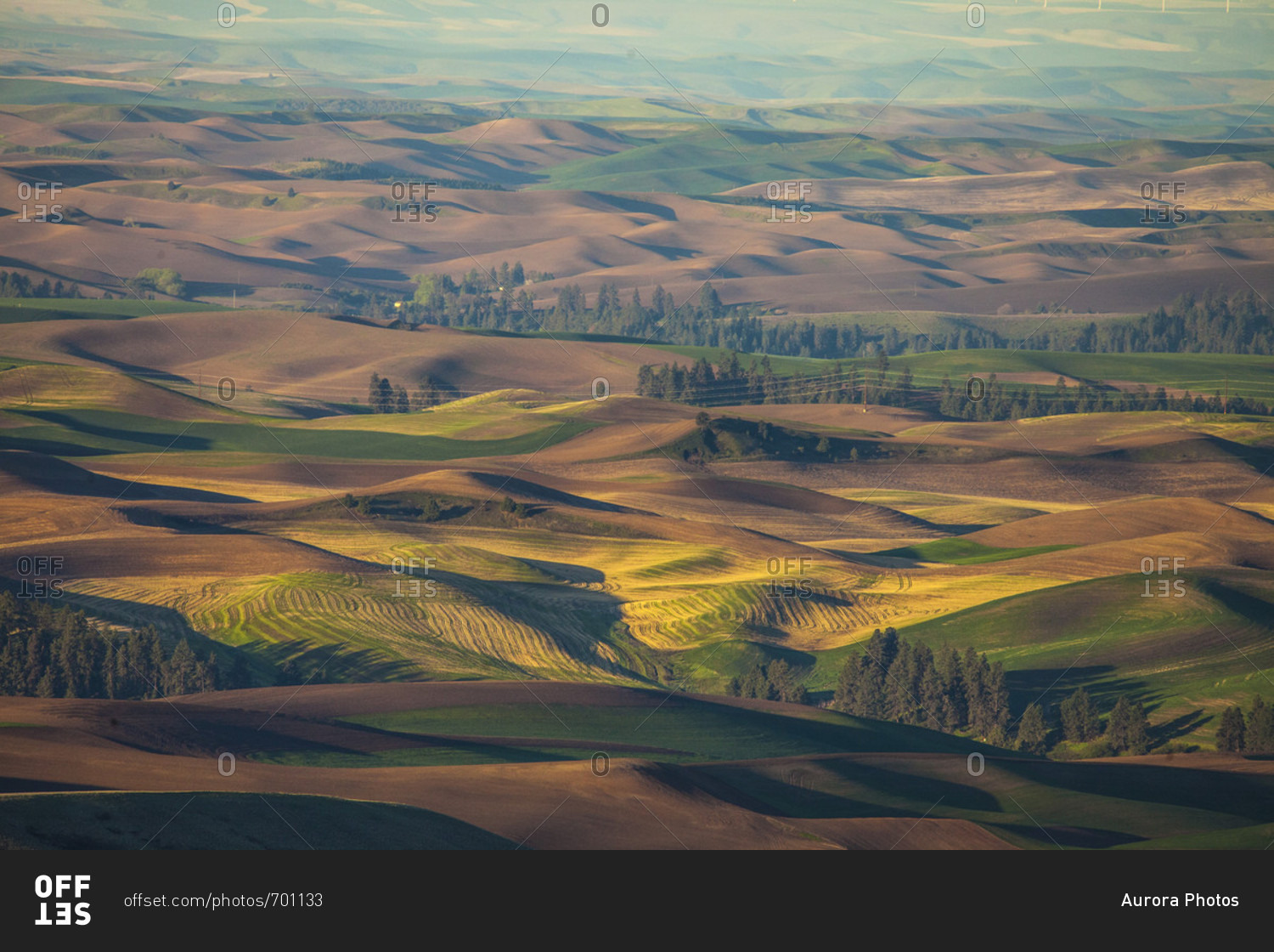 Scenery with rolling hills, Steptoe Butte State Park, Palouse ...