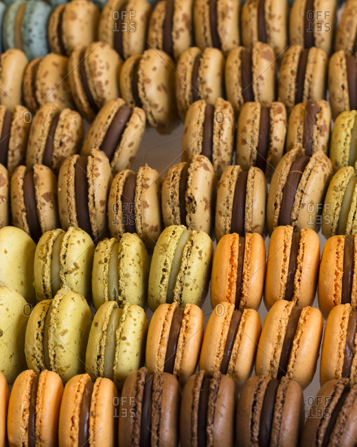 Assorted macarons in a shop