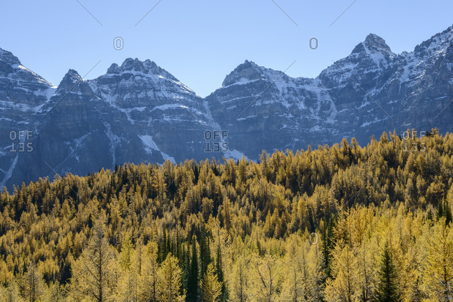 Canada, Alberta, Banff, Forest and mountains in Banff National Park