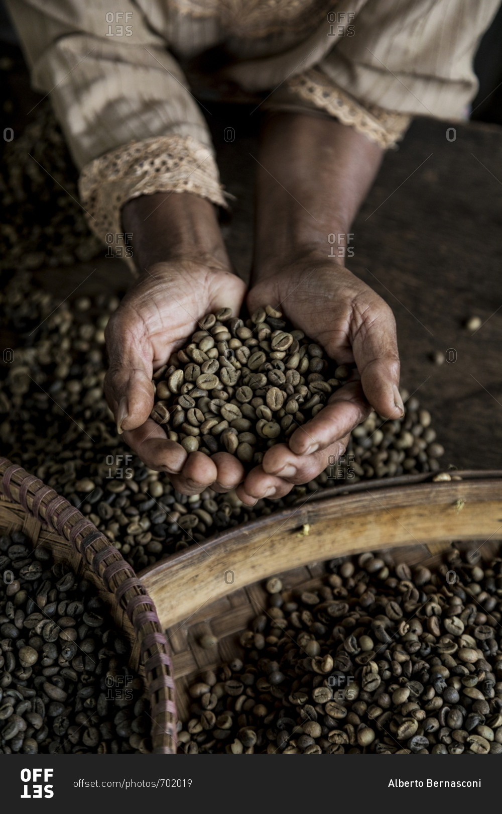 Worker holding coffee beans from the local plantation in Central Java, Indonesia
