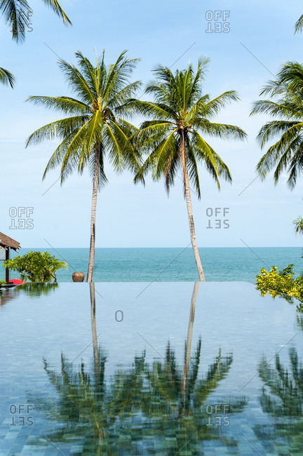 Palm trees reflected in infinity pool at the beach on Koh Samui Island in Thailand