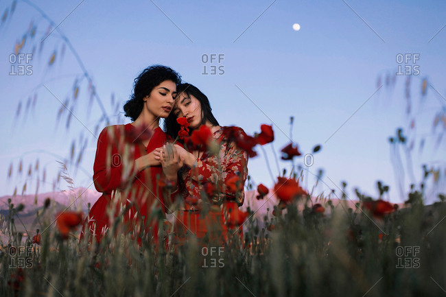 Beautiful models in red in field